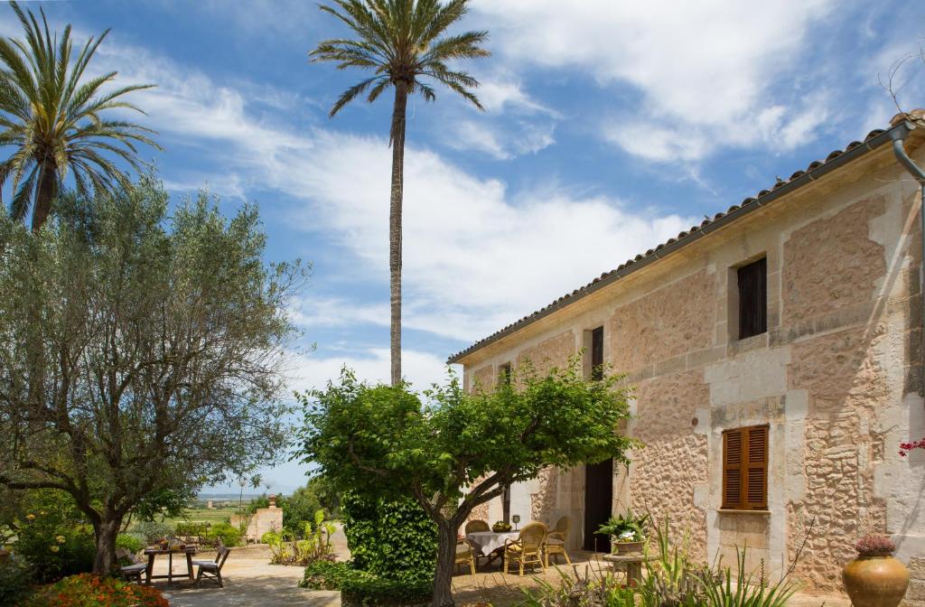 a building with a palm tree in the background at Agroturismo Es Pla De Llodrá in Manacor