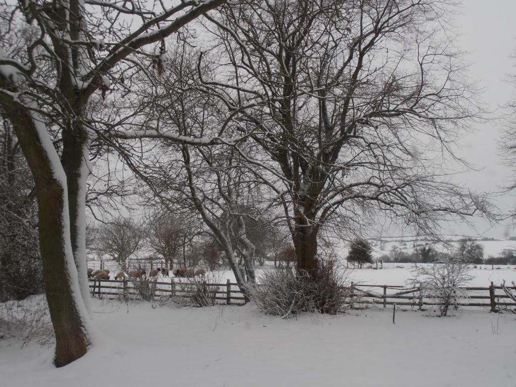 The Old Stables during the winter 