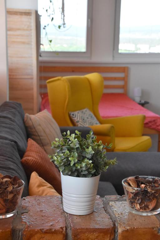 a living room with a table with a plant on it at Panorama View Family Apartment in Veszprém