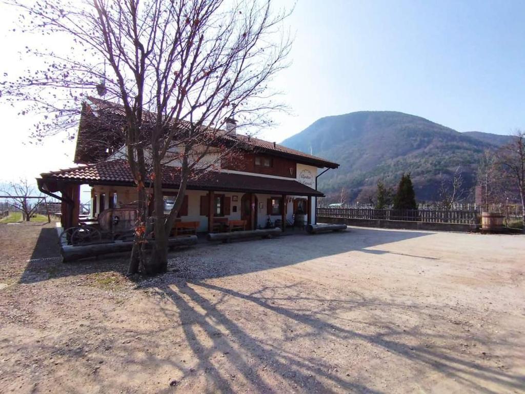 ein Gebäude mit einem Baum vor einem Berg in der Unterkunft Agriturismo Le Cavade in Cembra