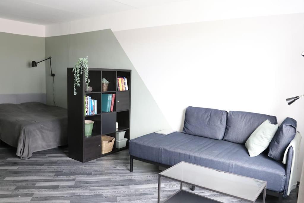 a living room with a blue couch and a book shelf at Dzīvoklis ar skatu pār Alūksni in Alūksne