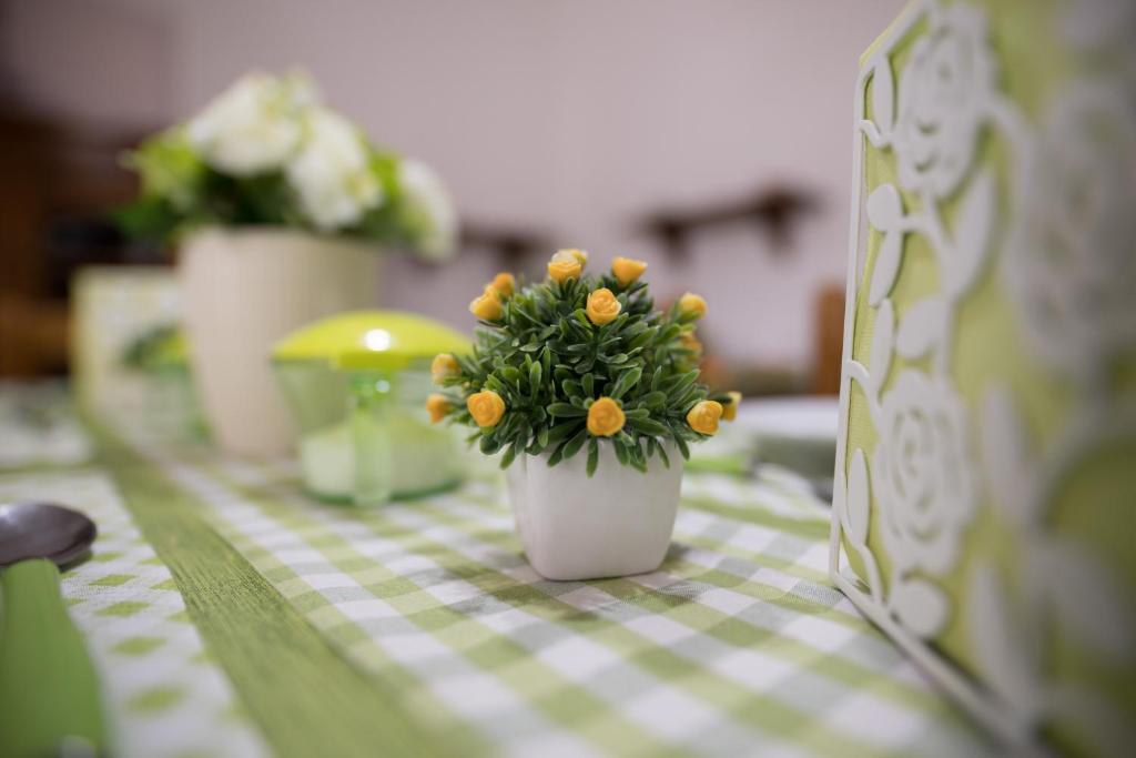 Fotografie z fotogalerie ubytování B&B Lucia v destinaci Salve