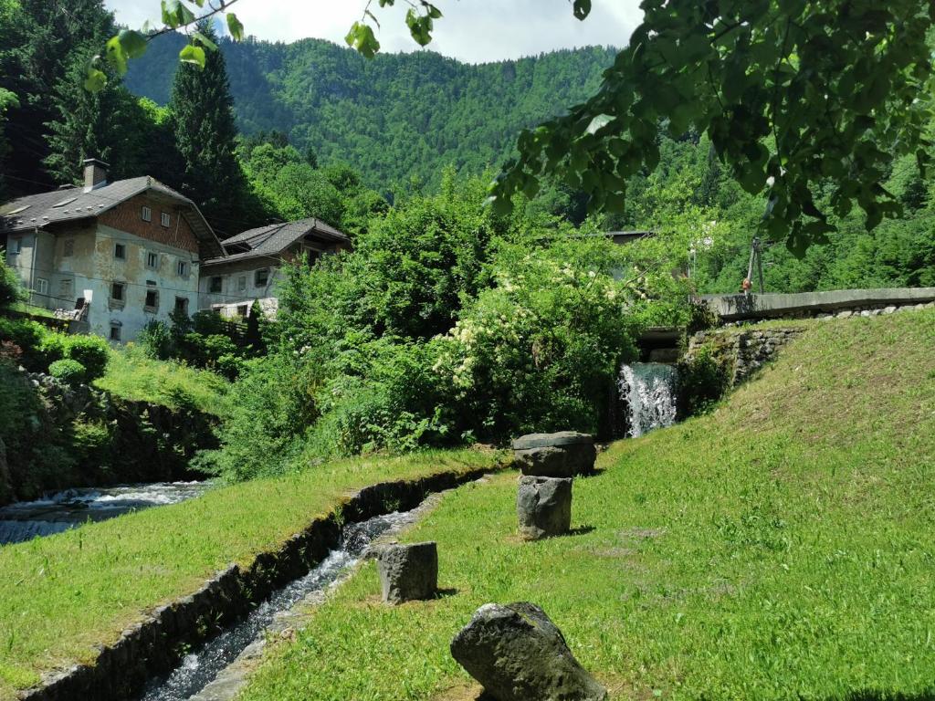 Příroda nedaleko hostelu