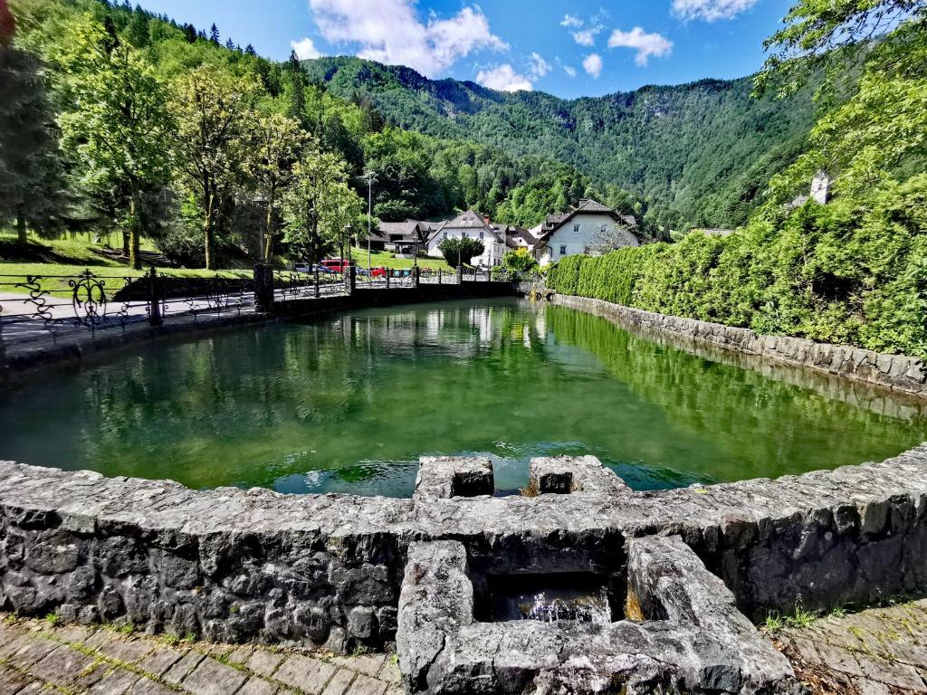 Příroda nedaleko hostelu