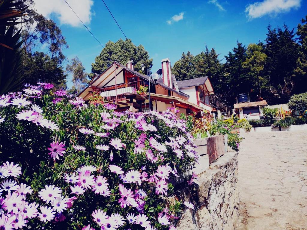 Budova, kde se the country house nachází