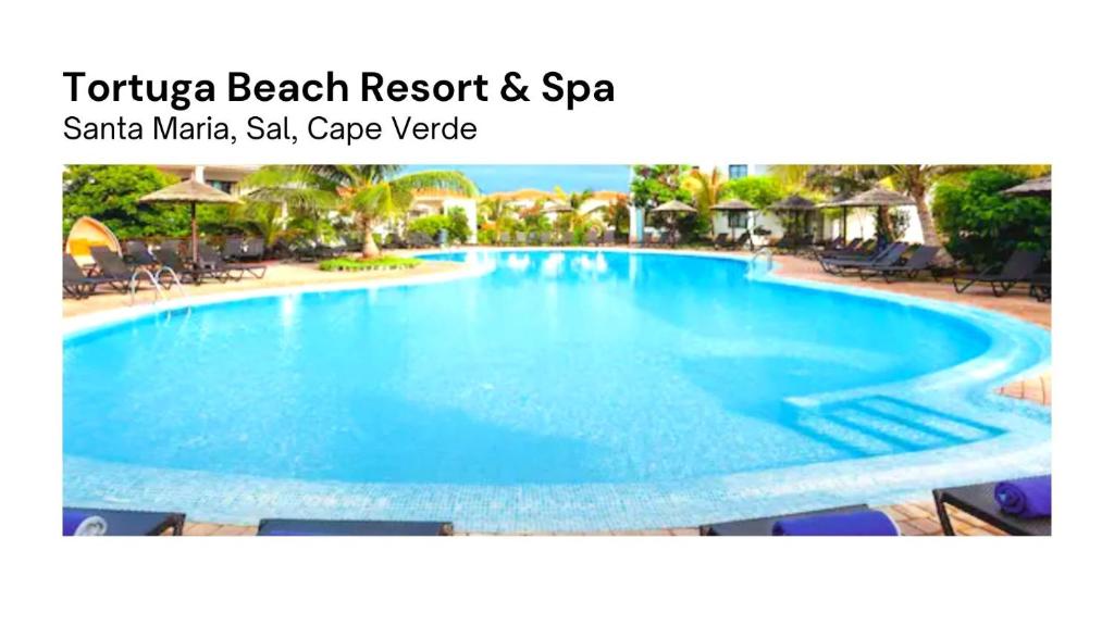 uma grande piscina com água azul num resort em Tortuga Beach Village Private Apartments and Villas for Rent em Santa Maria