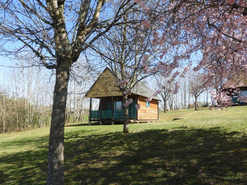 ein kleines Gebäude auf einem Feld mit einem Baum in der Unterkunft Camping Val Saint Jean in Mauriac