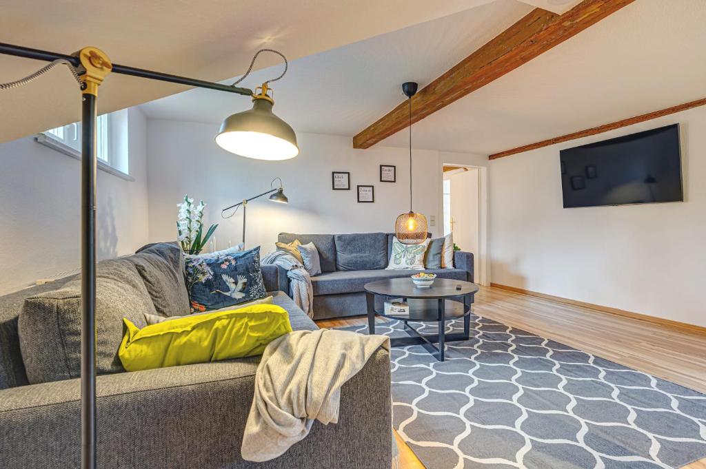 ein Wohnzimmer mit einem Sofa und einem TV in der Unterkunft Residenz unter den Linden Falke in Mühlhausen