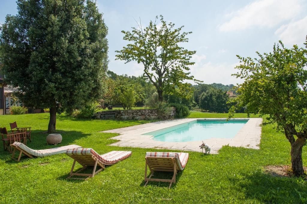 un cortile con piscina, due sedie e un cane di La Monella a Carpaneto Piacentino