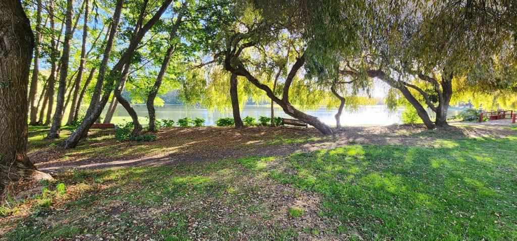 a group of trees in a park near a body of water at Hotel y Cabañas Las Mellizas - Caja Los Andes in Los Ángeles