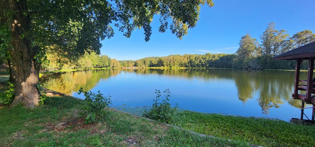 a lake with a tree and a gazebo at Hotel y Cabañas Las Mellizas - Caja Los Andes in Los Ángeles