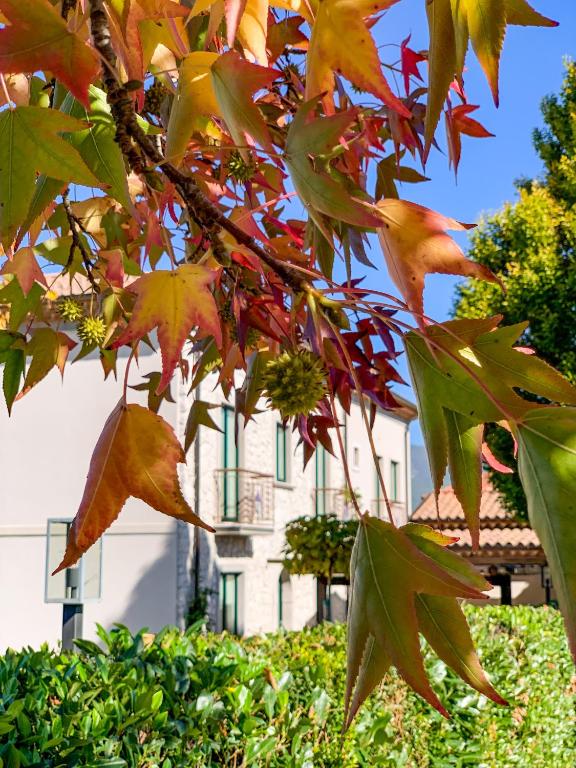 A garden outside Casa Rurale Faraone