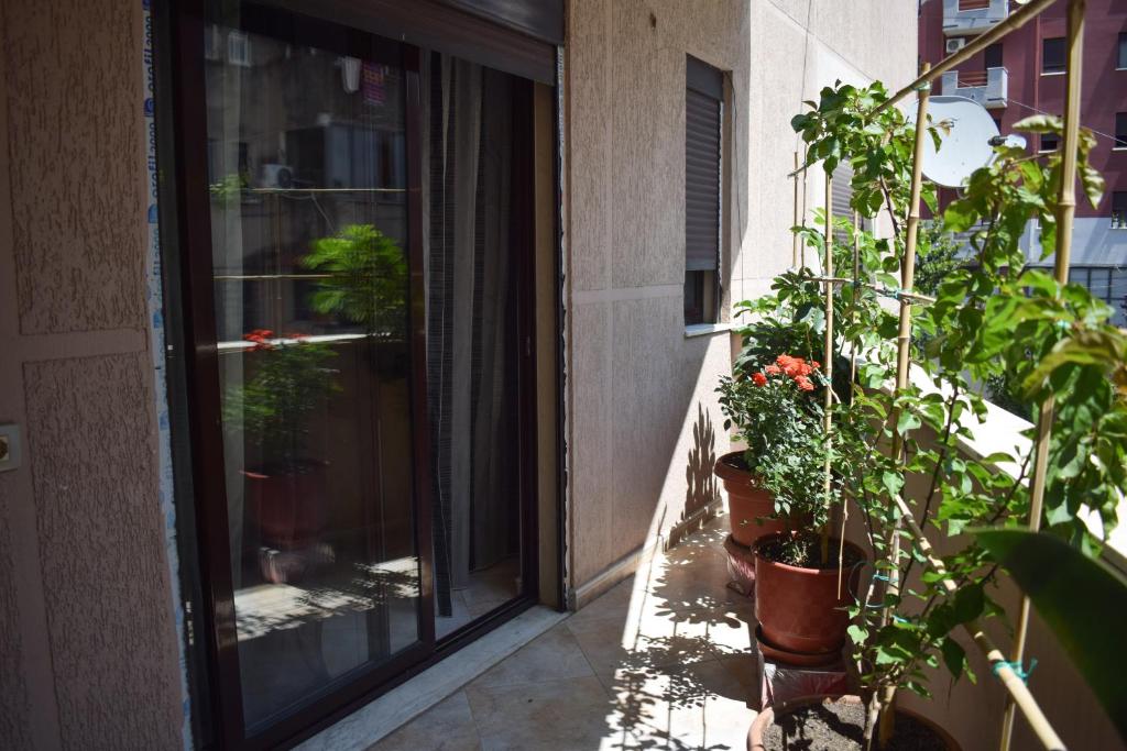 New Apartment ZOE - Imazhi 6