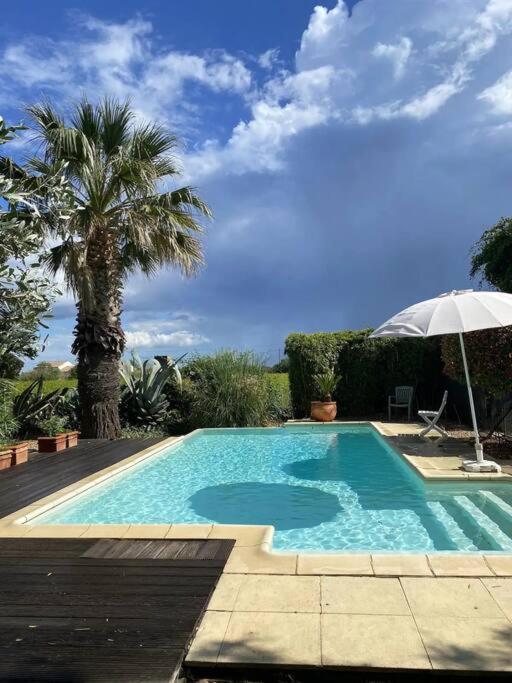 Photo de la galerie de l'établissement MasAupellière la petite Camargue, à Vauvert