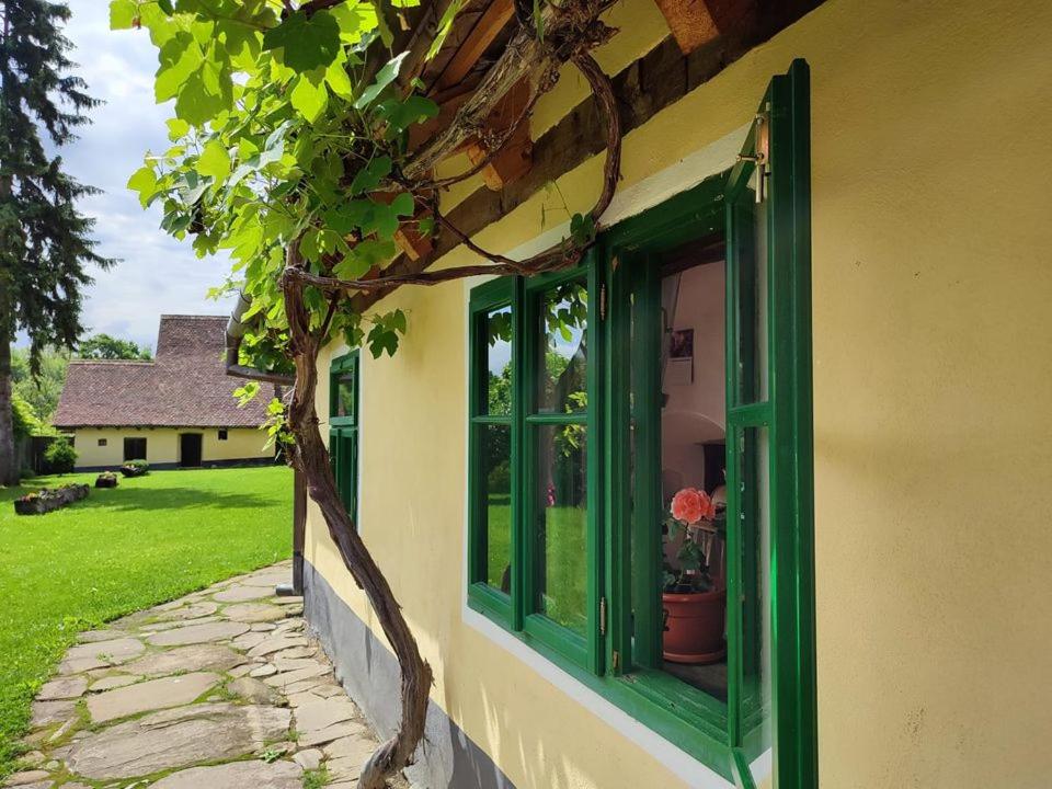 Zahrada ubytování Verde de Viscri