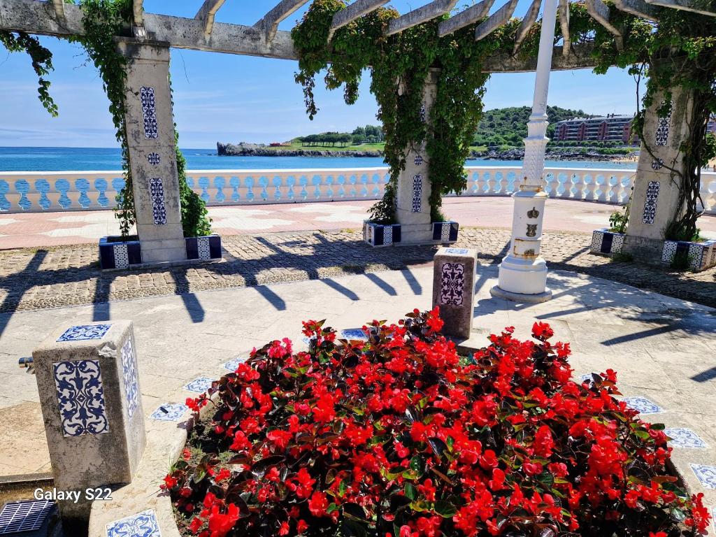 a bunch of red flowers in a flower bed at Castro Urdiales in Castro-Urdiales