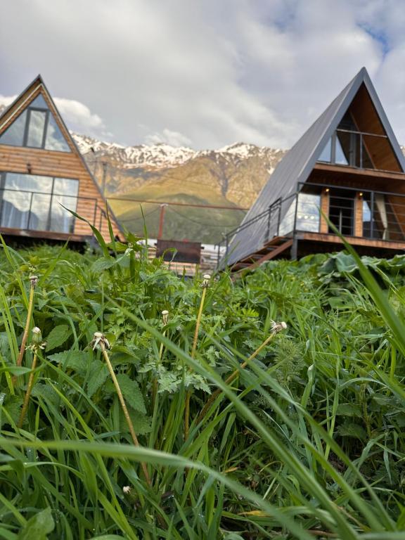 Alagi Cottage Kazbegi - Villa Met één Slaapkamer