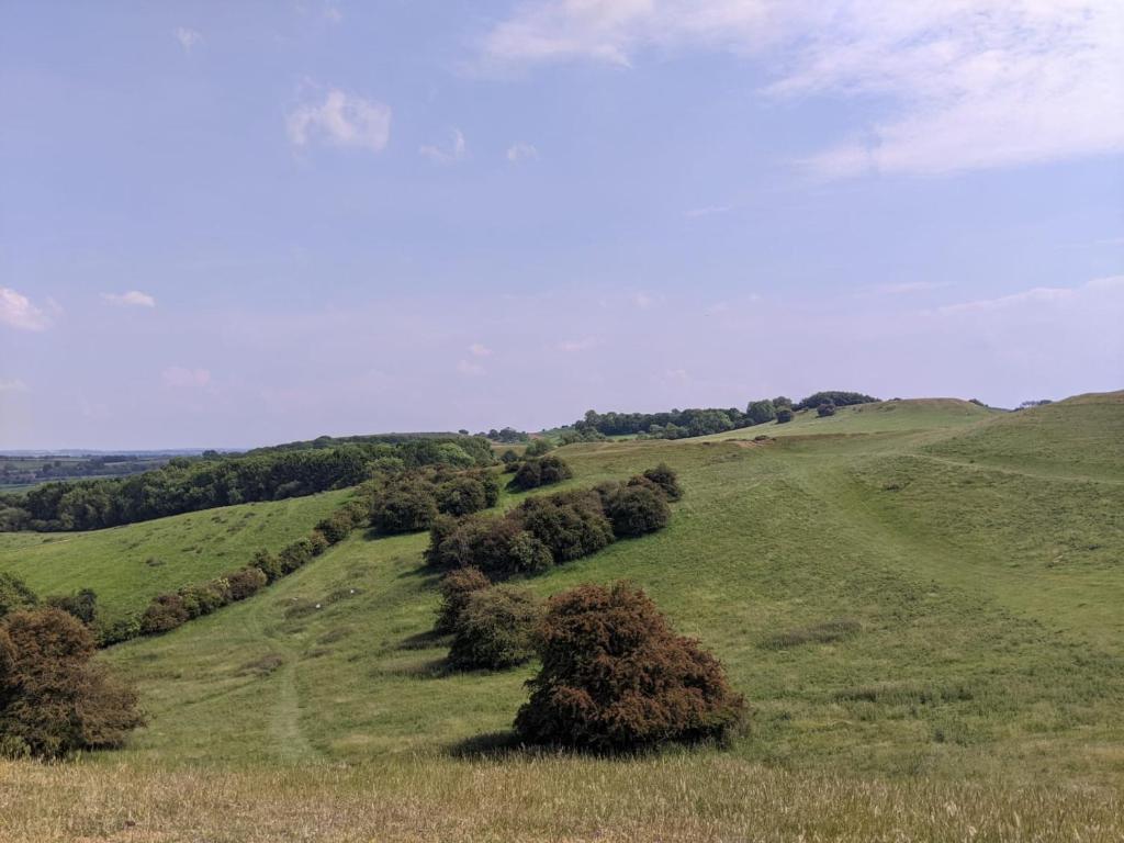 No53 Bed and Breakfast, Coventry (updated prices 2024)