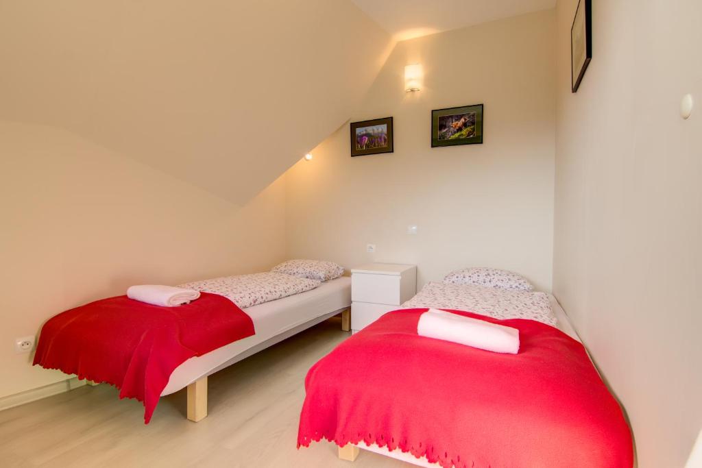 Posteľ alebo postele v izbe v ubytovaní Apartamenty Smrekowa Zakopane