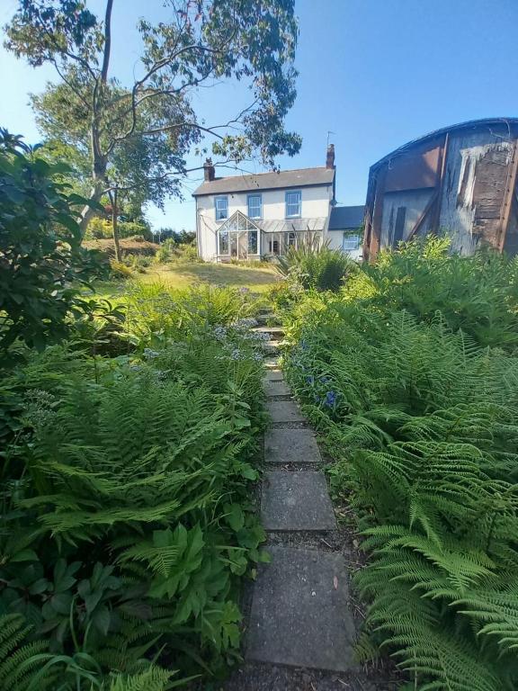 Cherry Grove Welsh Farmhouse, Pembrokeshire (updated prices 2024)