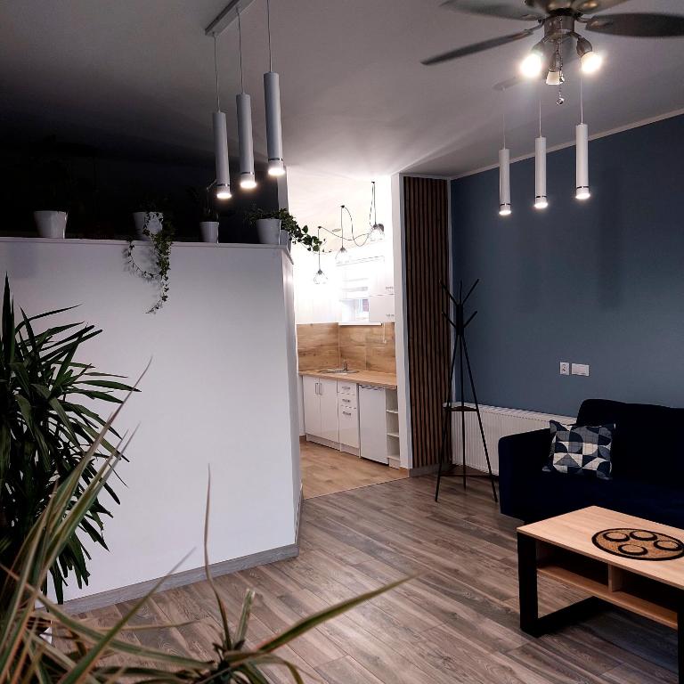 Apartament przy Białym Koniu - отзывы и видео