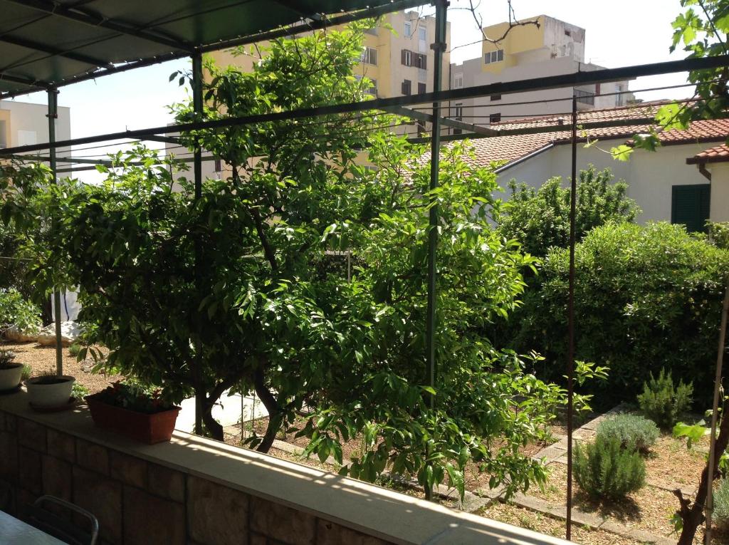 Zahrada ubytování Bed & Breakfast Batosic Makarska