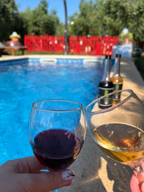 uma pessoa segurando um copo de vinho ao lado de uma piscina em Annamaria Home em Pula