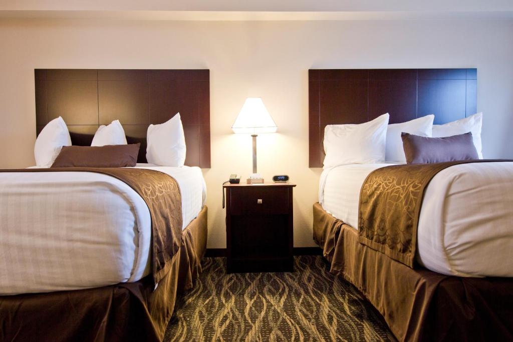 Cobblestone Inn & Suites - Boone - Camera Singola
