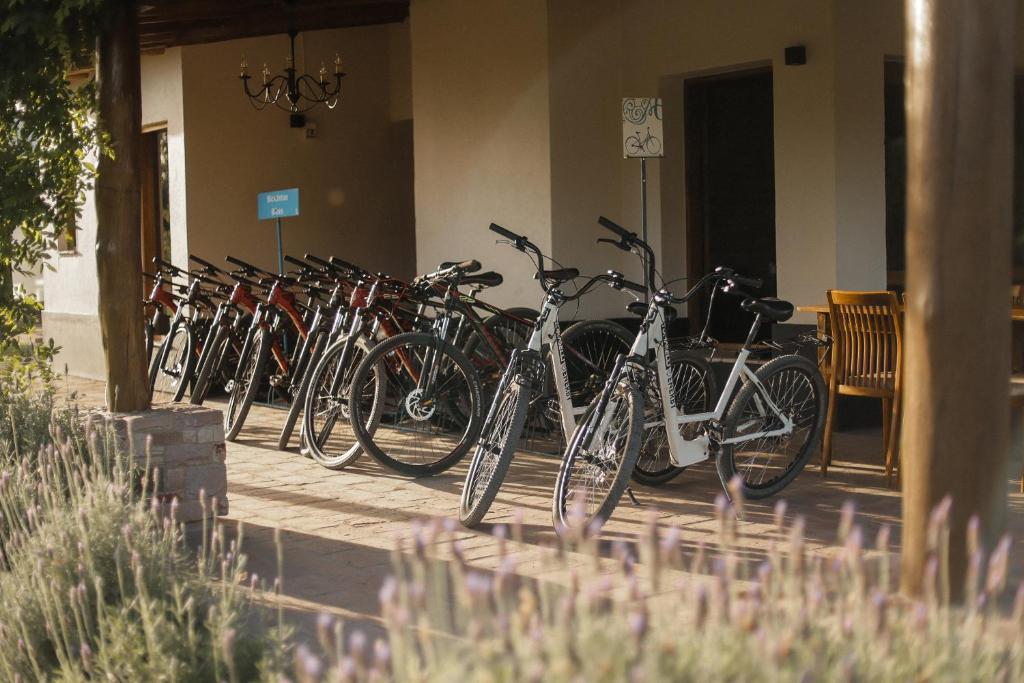 Ciclismo en Algodon Wine Estates & Champions Club o alrededores