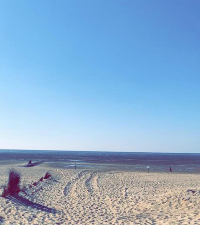 Wattengl&uuml;ck 3, Cuxhaven (updated prices 2025)