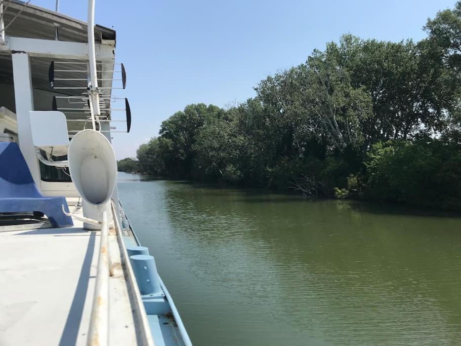 a boat on a river with trees in the background at Péniche Match in Arles