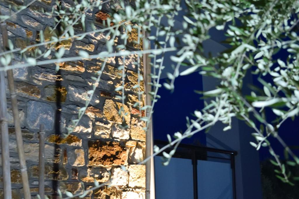 Fotografie z fotogalerie ubytování Dioscuri Deluxe Apartments v destinaci Chrysi Ammoudia