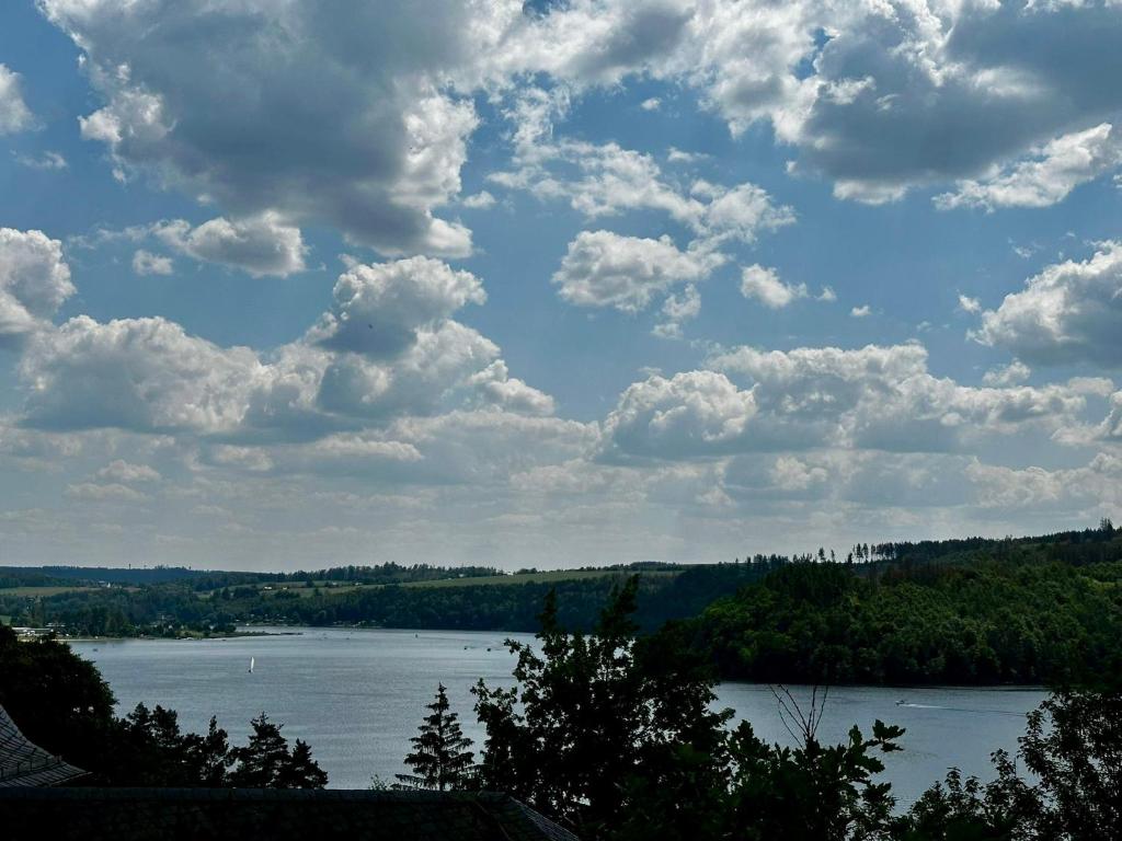 una vista de un río con nubes en el cielo en Auszeit im Wald direkt am See, en Schleiz