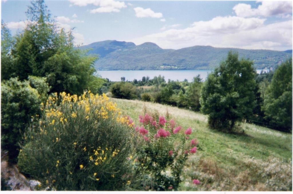 Blick auf ein Feld mit Blumen und einen See in der Unterkunft La Perrière in Chindrieux