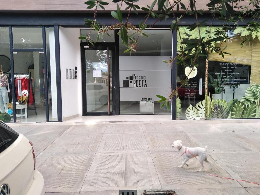 un chien blanc en laisse devant un magasin dans l'établissement Cony Lee Esteco, à Salta