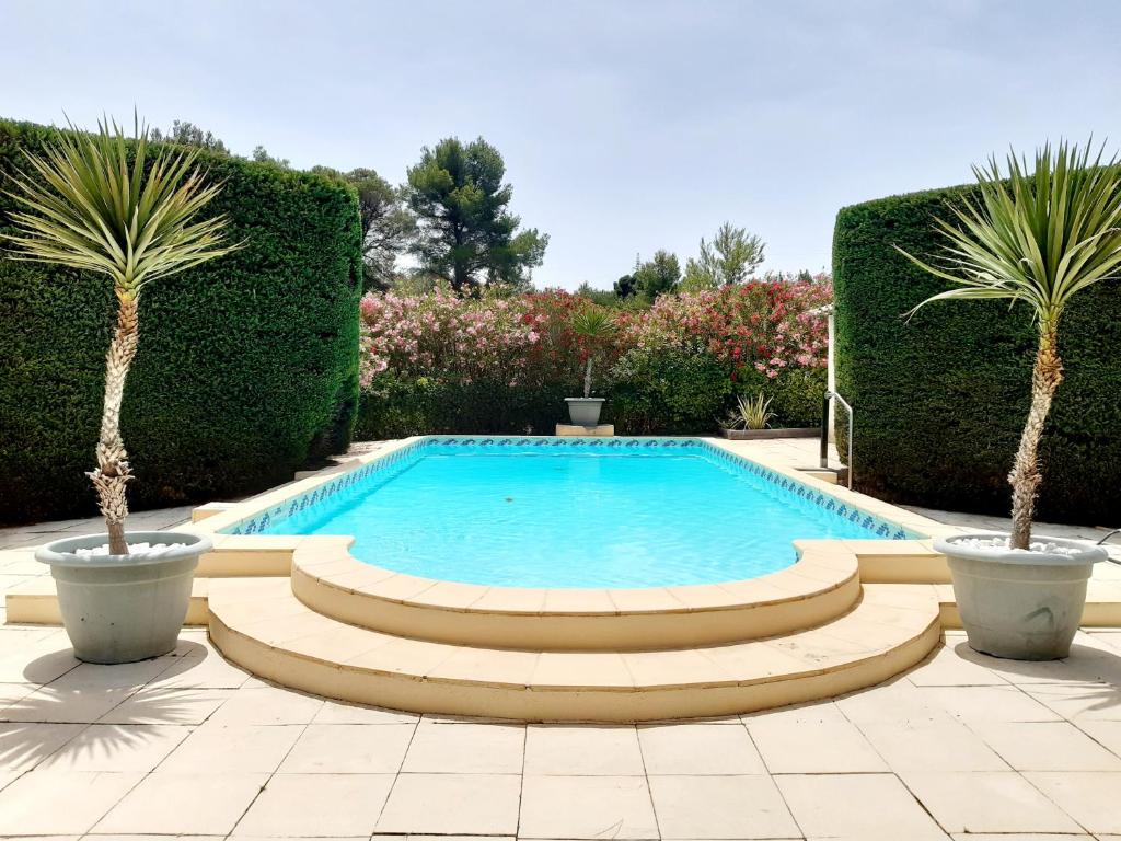 a swimming pool with two palm trees in a yard at Magnifiques maisons de campagne au sein d&#39;un vignoble in Cazouls-lès-Béziers