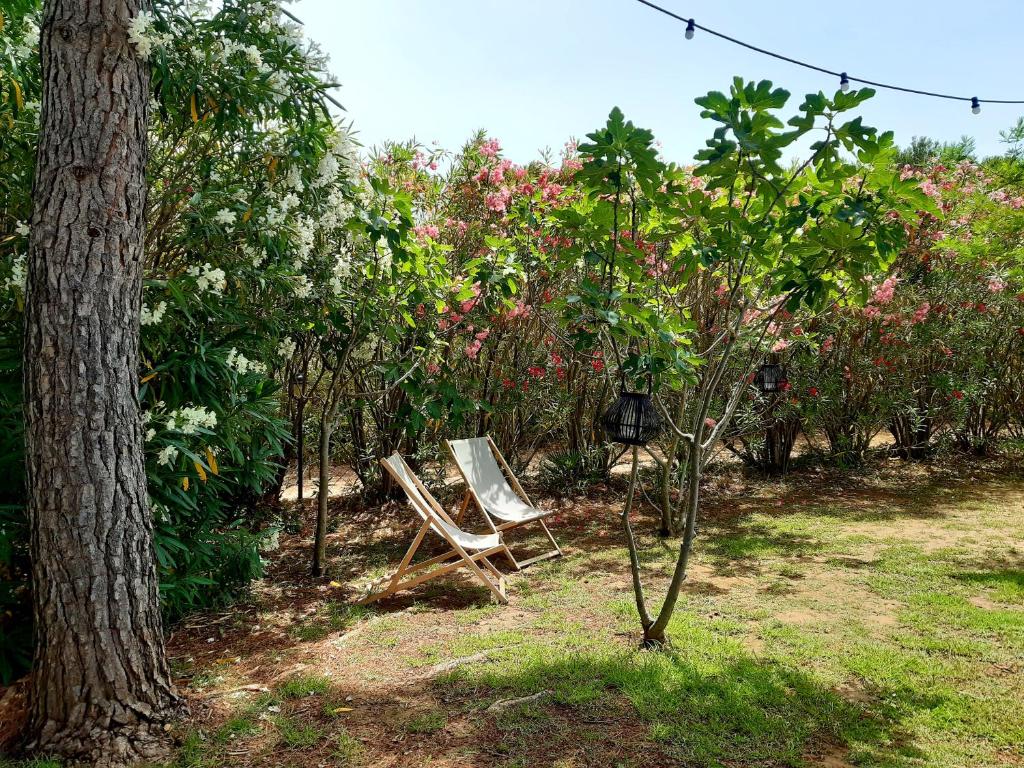 a couple of chairs sitting in a garden at Magnifiques maisons de campagne au sein d&#39;un vignoble in Cazouls-lès-Béziers