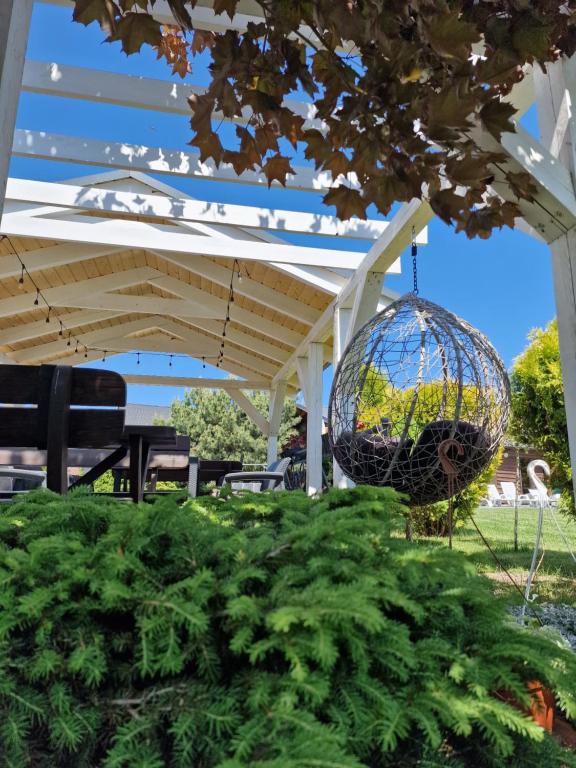 Zahrada ubytování Villa Dolce Vita