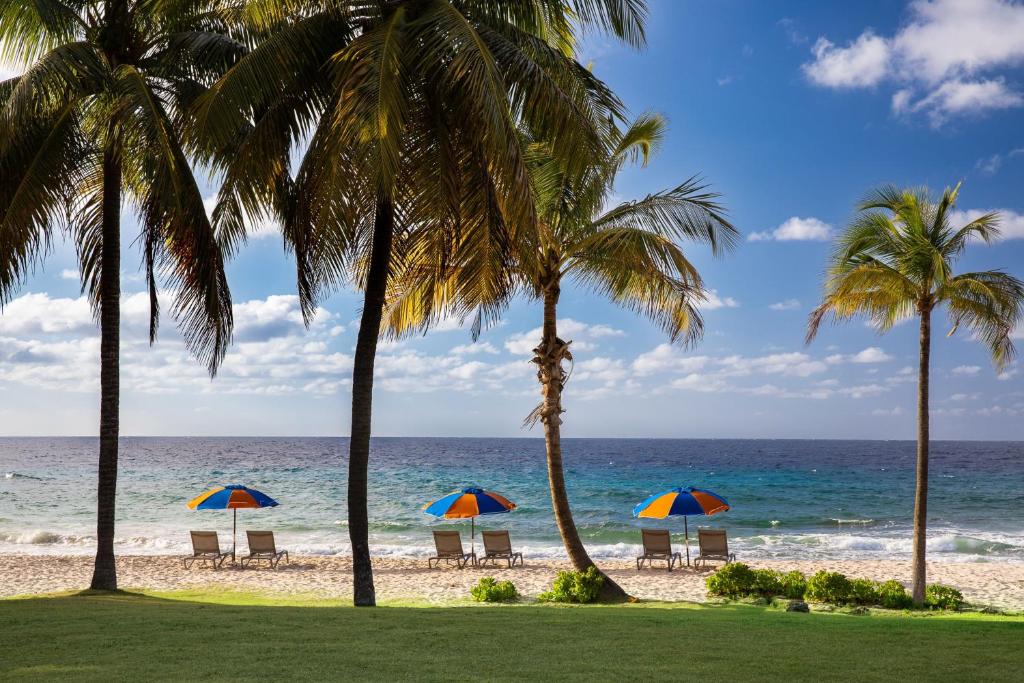 a group of chairs and umbrellas on the beach at Carambola Beach Resort St. Croix, US Virgin Islands in North Star