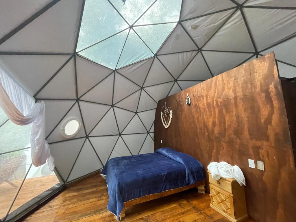 Cette chambre dispose d'un lit et d'un plafond en verre. dans l'établissement MANDALA CAMP, à Tomatlán
