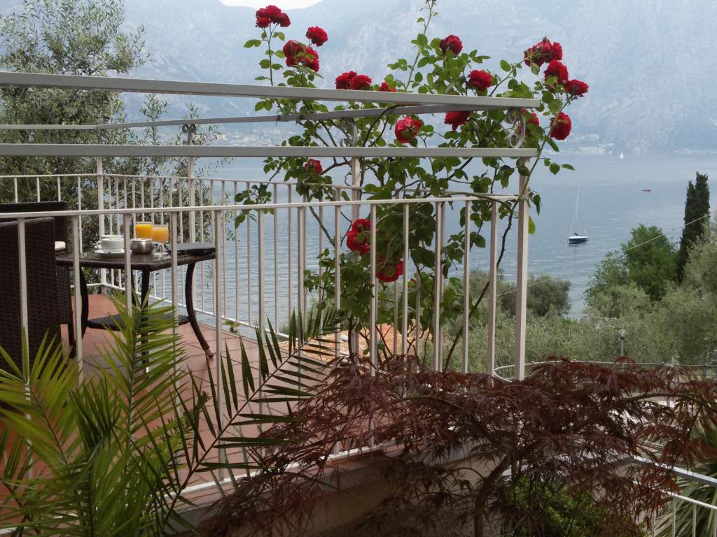 Zahrada ubytování Hotel Da Tino