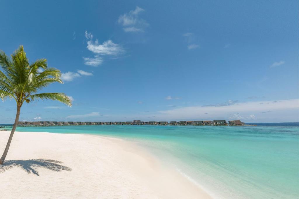 The St. Regis Maldives Vommuli Resort - View 30