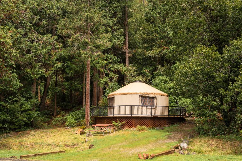 una yurta en medio de un campo con árboles en Redwood Meadows RV Resort en Crescent City