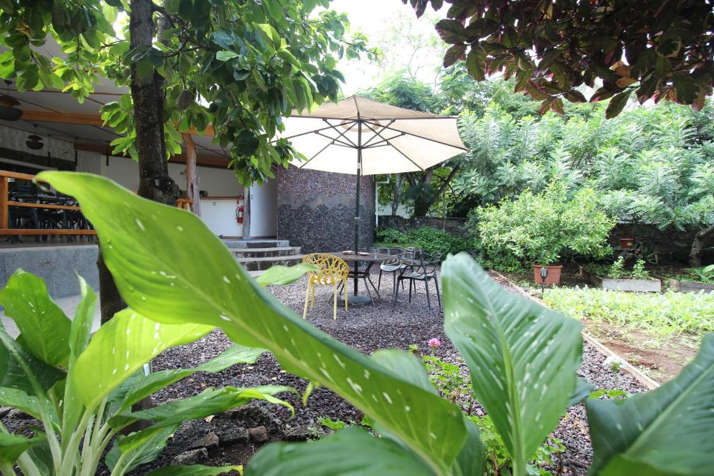 a patio with a table and an umbrella at Lava House Hostal in Puerto Ayora