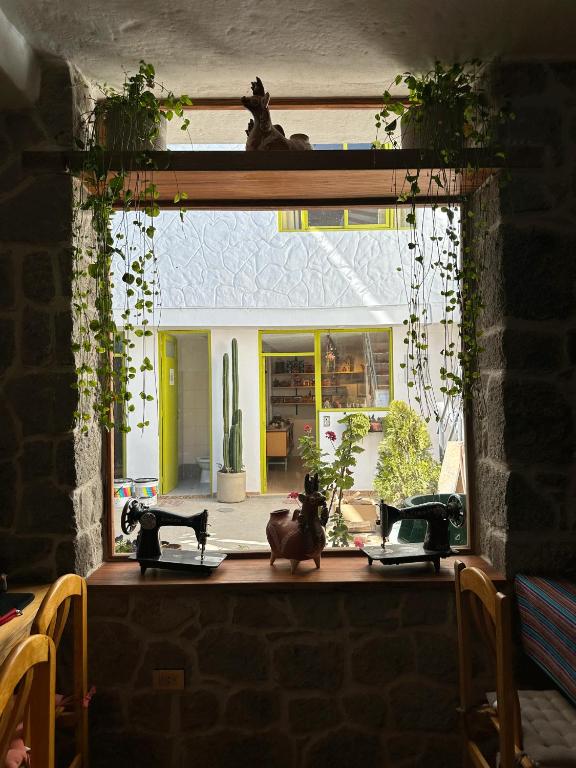 Fotografie z fotogalerie ubytování Homestay Pachamama v destinaci Cabanaconde