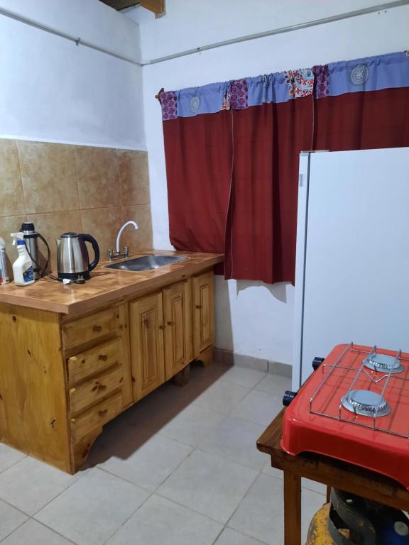 eine Küche mit einer Spüle und einem Kühlschrank in der Unterkunft Domingo in Goya