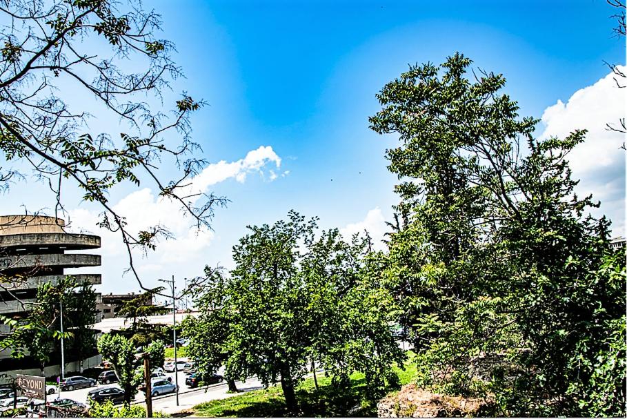 grupa drzew przed budynkiem w obiekcie JuKeBoX Suite 2 BEDROOMS - BIG BALCONY w Salonikach