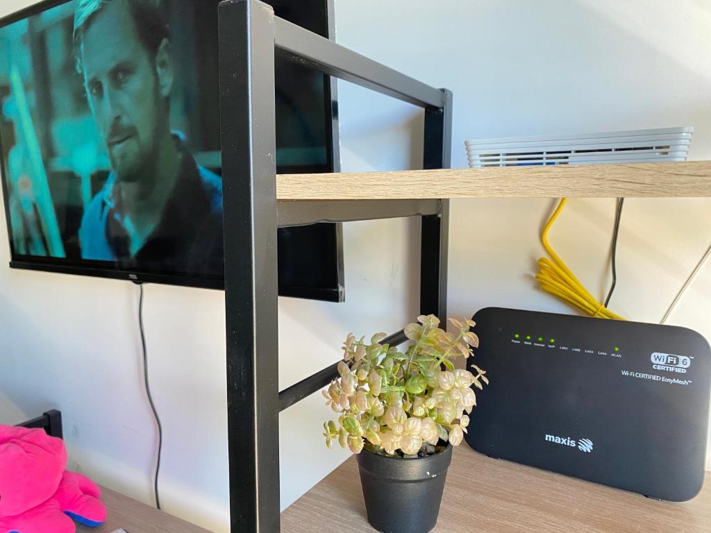 TV a/nebo společenská místnost v ubytování Proboscis Guest House Monthly