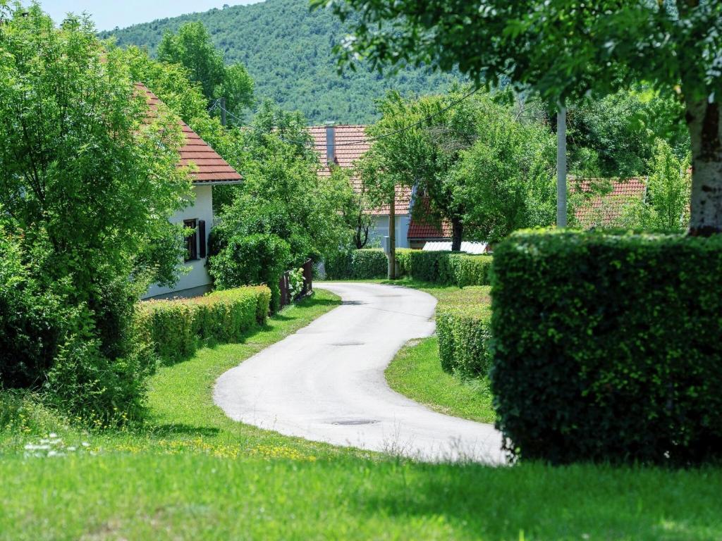 a winding road in a yard with bushes at Quiet country side cottage near nature park Velebit in Lovinac