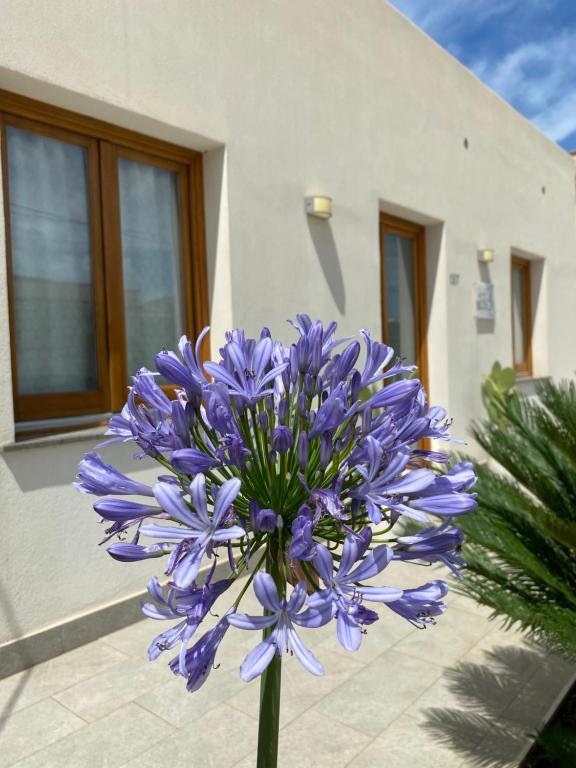 Fotografie z fotogalerie ubytování B&B La mia Isola v destinaci Castelluzzo